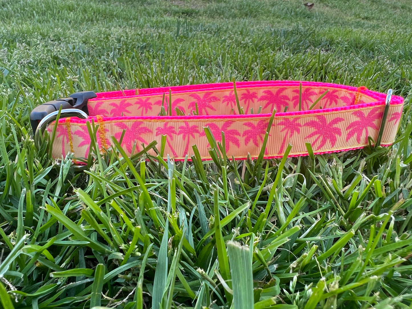 Palmetto Beach Dog Collar